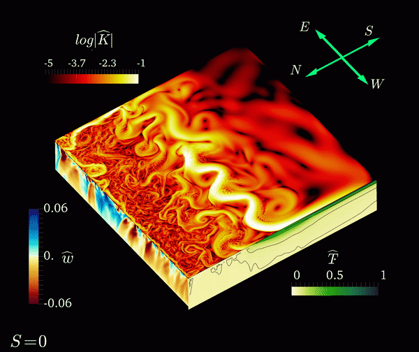 An animated gif showing swirling patterns of water in red, yellow and black across a range of depths.