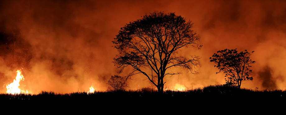 Bushfires at night