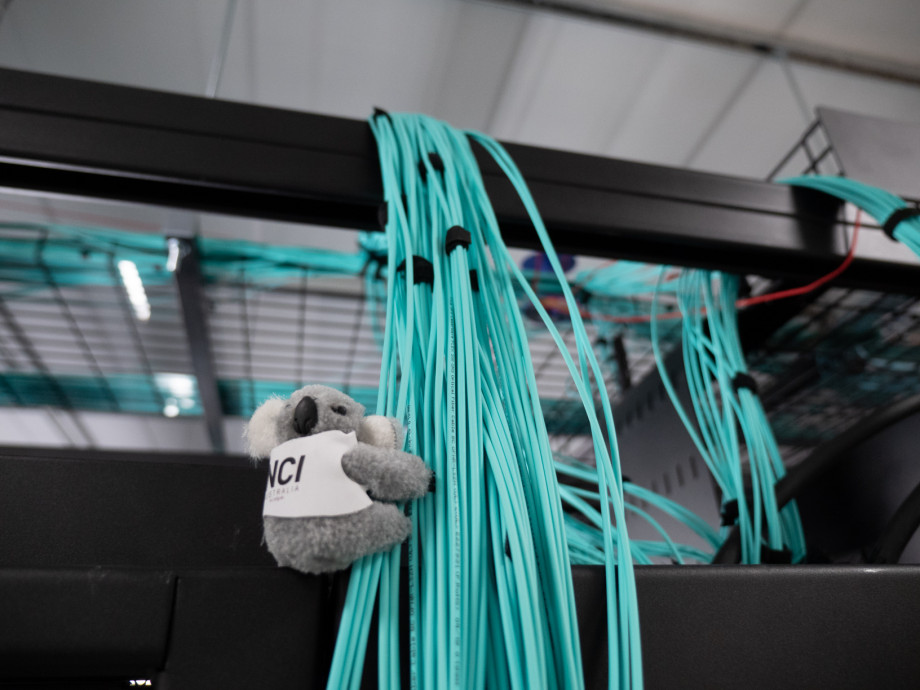 A koala toy is attached to a large bundle of thin blue cables stretching down from above.