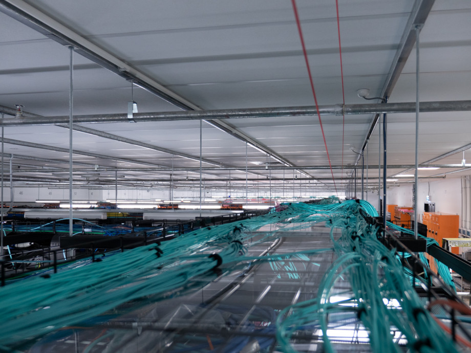 Dozens of thin blue-green cables in bundles stretch out into the distance across the length of the data hall.