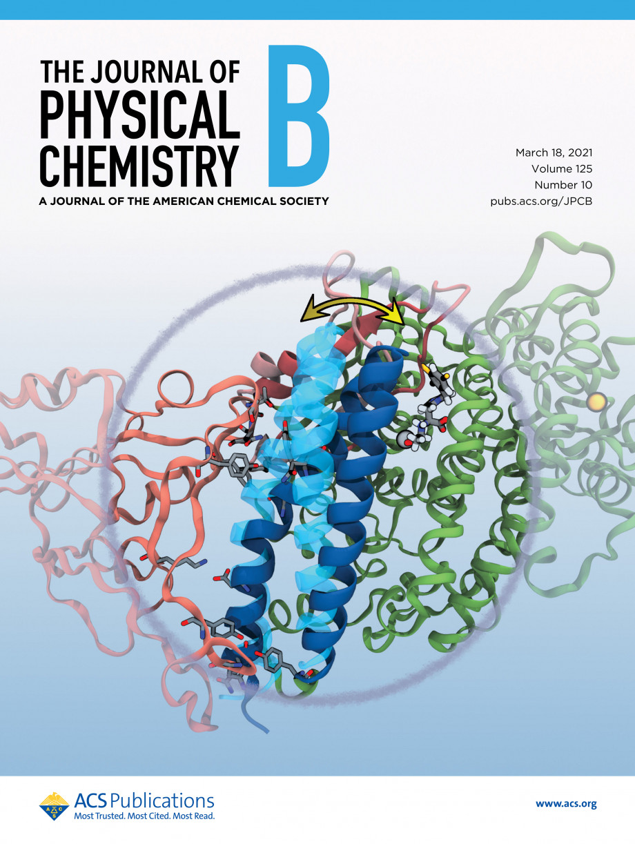 The cover of the Journal of Physical Chemistry B featuring the interaction of proteins vital to the binding of COVID-19 to human cells.