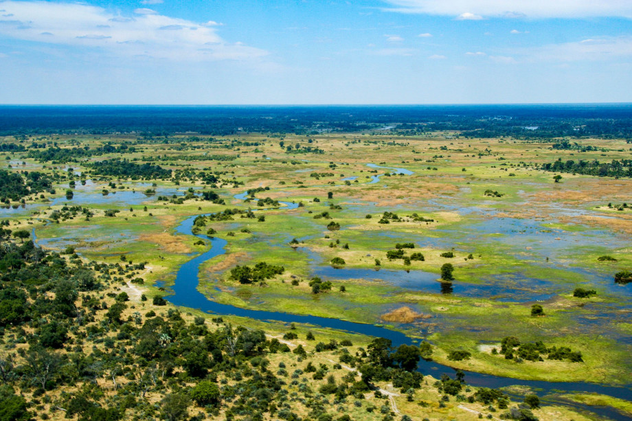 Rivers and lakes form a wetland wth green vegetation going off into the distance of Botswana's Okavango Delta.