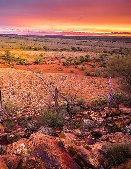 Australia outback