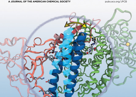 The cover of the Journal of Physical Chemistry B featuring the interaction of proteins vital to the binding of COVID-19 to human cells.