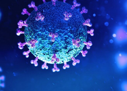 Illustration of the COVID-19 SARS-CoV-2 virus.