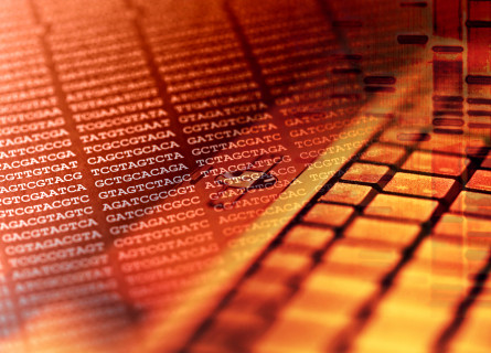 An orange-hued image superimposing letters of a genome with a computer keyboard.