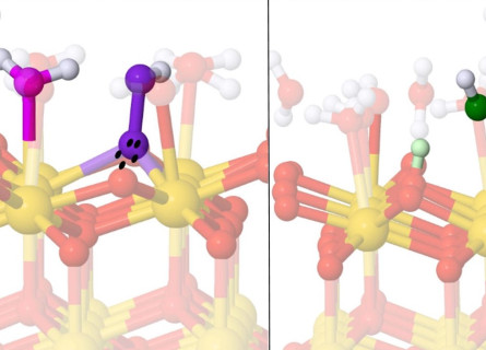 Ball and stick models of chemical molecules.