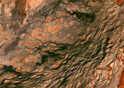 Satellite image of earth showing rocks
