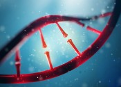 Artist's impression of a strand of DNA coloured red seen close up.