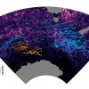 Previous article